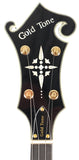 Gold Tone EBM-5 5-String Sunburst Electric Banjo Guitar