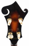 Gold Tone EBM-5 5-String Sunburst Electric Banjo Guitar