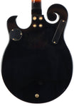 Gold Tone EBM-5 5-String Sunburst Electric Banjo Guitar