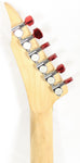 Joe Despagni JEM Custom 'Numbers' Electric Guitar