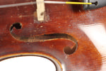 Vintage Von Friedrich August Glass Stradivarius 1737 4/4 German Violin